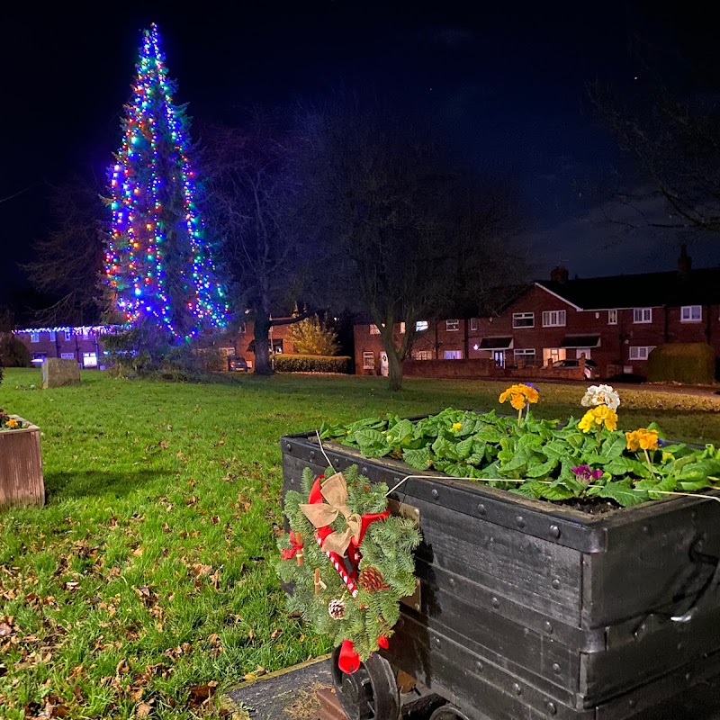 Swillington Christmas Tree