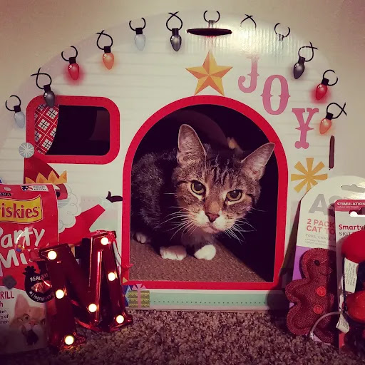 Pet Supply Store «PetSmart», reviews and photos, 650 Commerce Blvd, Scranton, PA 18519, USA