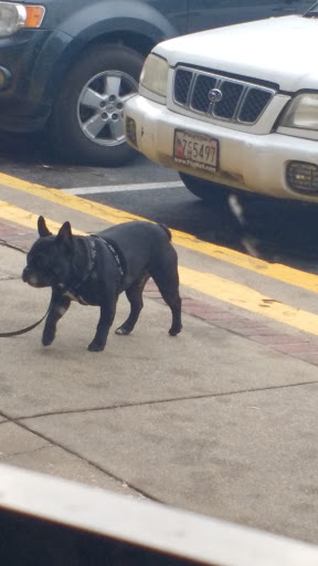 Shopping Mall «Woodmoor Shopping Center», reviews and photos, 10115 Colesville Rd, Silver Spring, MD 20901, USA