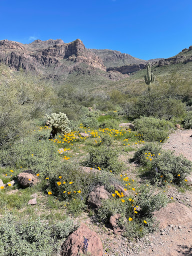 Lost Goldmine Trailhead