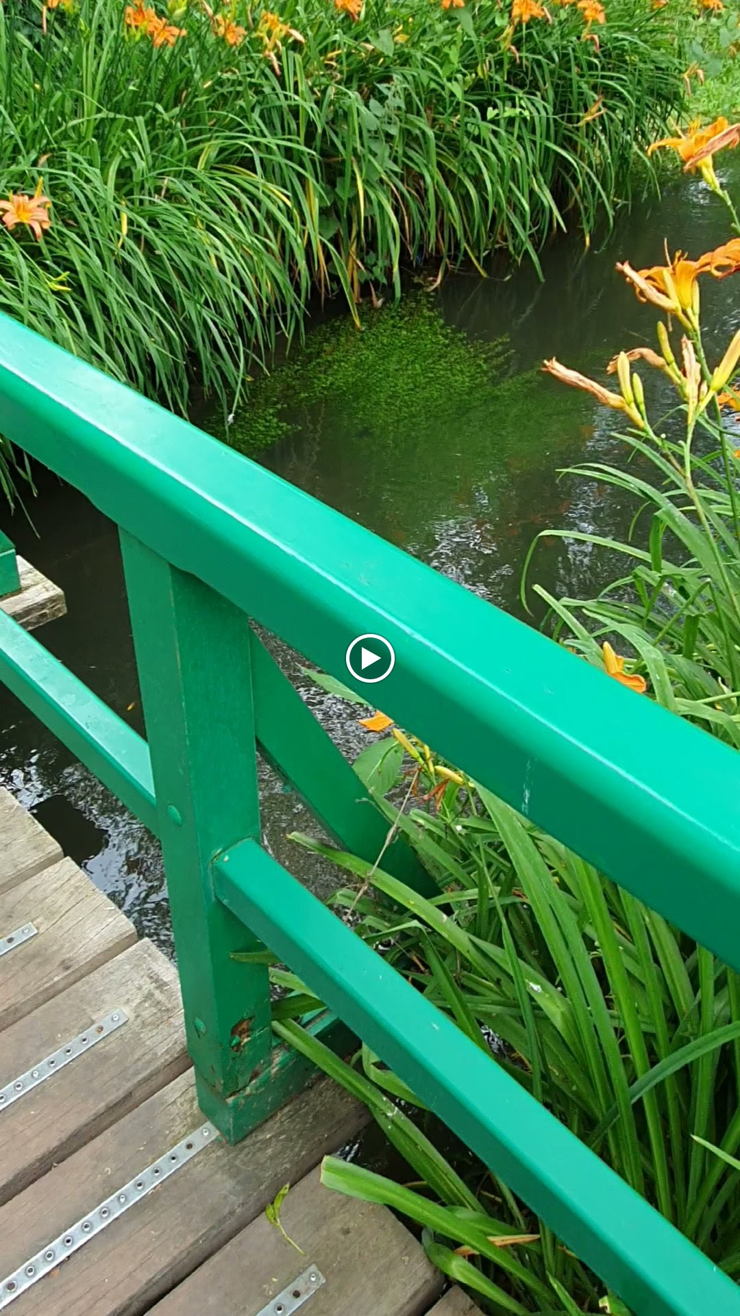 Photo n° 7 de l'avis de Nadia.o fait le 20/06/2023 à 07:55