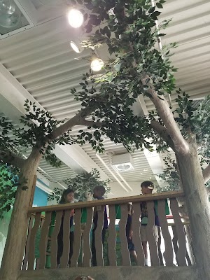 Childrens Discovery Center - photo 47