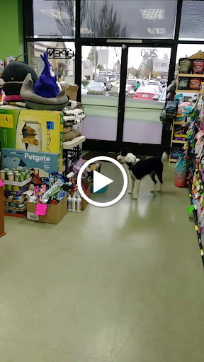 Pet Groomer «Happy Tails Pet Center», reviews and photos, 4370 SE King Rd Ste 260, Milwaukie, OR 97222, USA