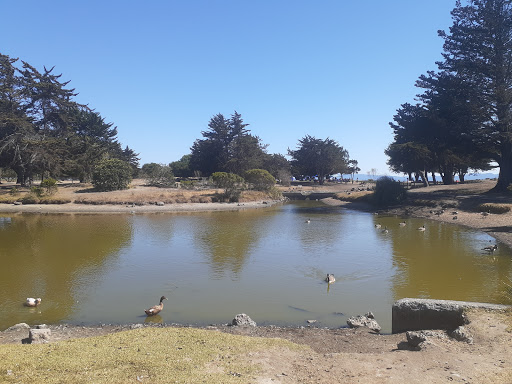 Park «Washington Park», reviews and photos, 740 Central Ave, Alameda, CA 94501, USA