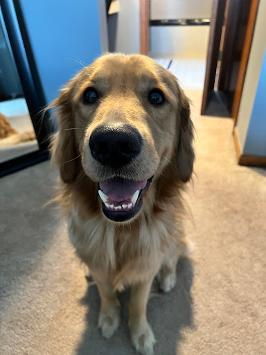 300 W Tienken Rd, Rochester Hills, MI 48306, USA