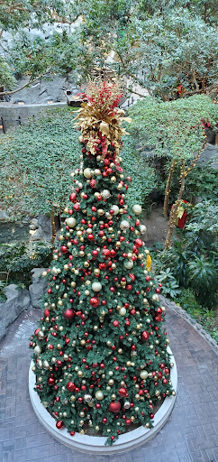 Garden «Mystic Falls Park», reviews and photos, 5111 Boulder Hwy, Las Vegas, NV 89122, USA