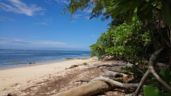 Photo de Orange Beach situé dans une zone naturelle