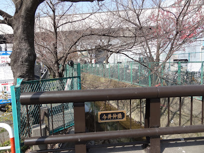渋川沿いの桜