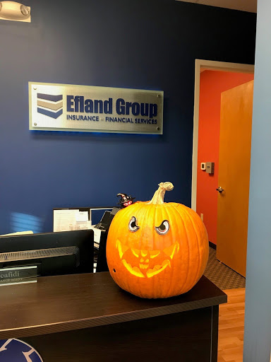 Insurance Agency «Allstate Insurance Agent: Jason L Efland», reviews and photos