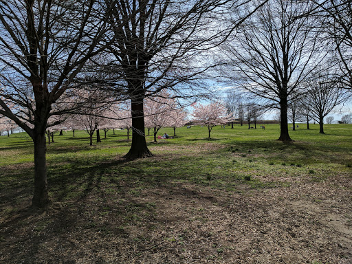 National Park «Fort McHenry National Monument and Historic Shrine», reviews and photos, 2400 E Fort Ave, Baltimore, MD 21230, USA