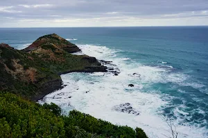 Two Bays Walking Track image