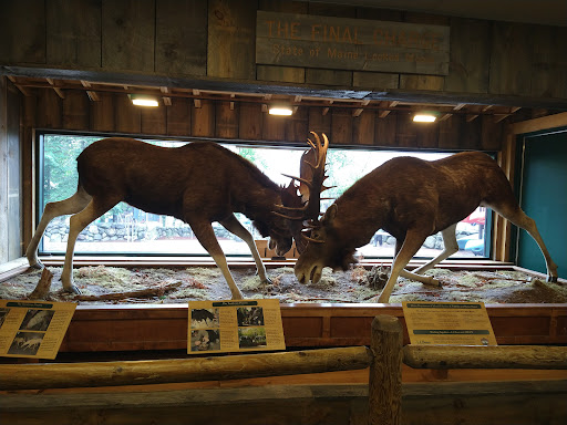 Clothing Store «L.L. Bean», reviews and photos, 95 Main St, Freeport, ME 04032, USA