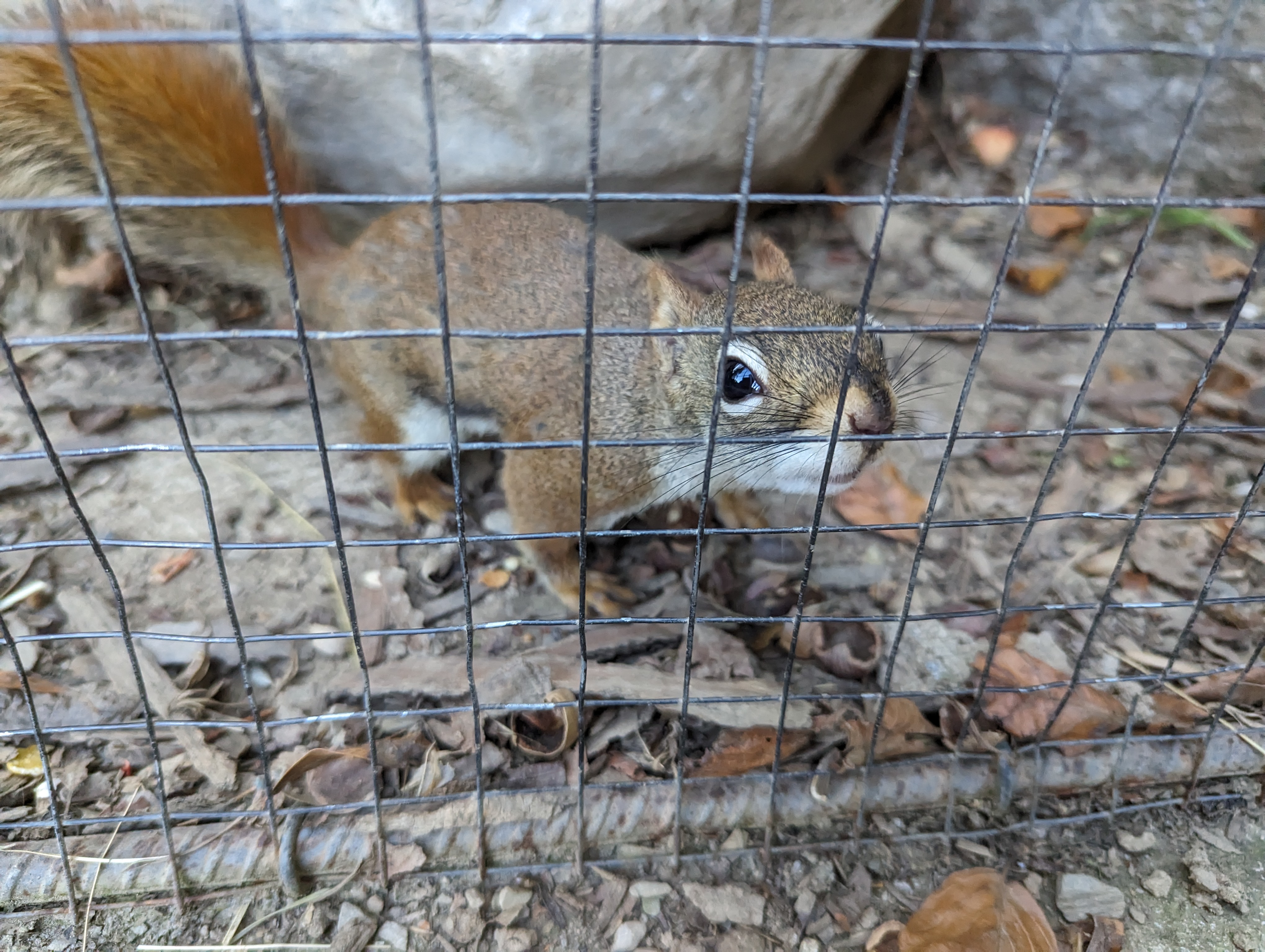 Photo n° 14 de l'avis de Thibaud.l fait le 10/10/2023 à 07:10