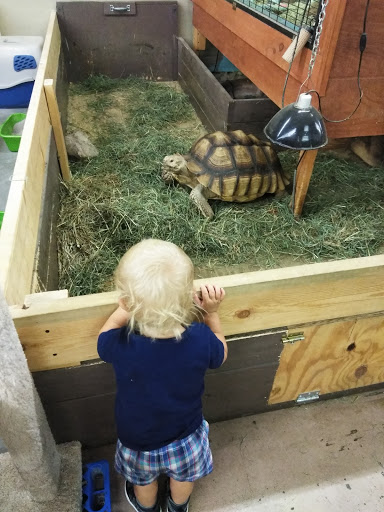 Pet Store «Just Pets», reviews and photos, 393 NY-5, Irving, NY 14081, USA