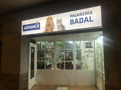 Pajarería Badal - Servicios para mascota en Castellón de la Plana