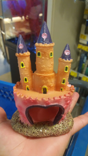 Pet Supply Store «PetSmart», reviews and photos, 3351 Jefferson Davis Hwy, Alexandria, VA 22305, USA