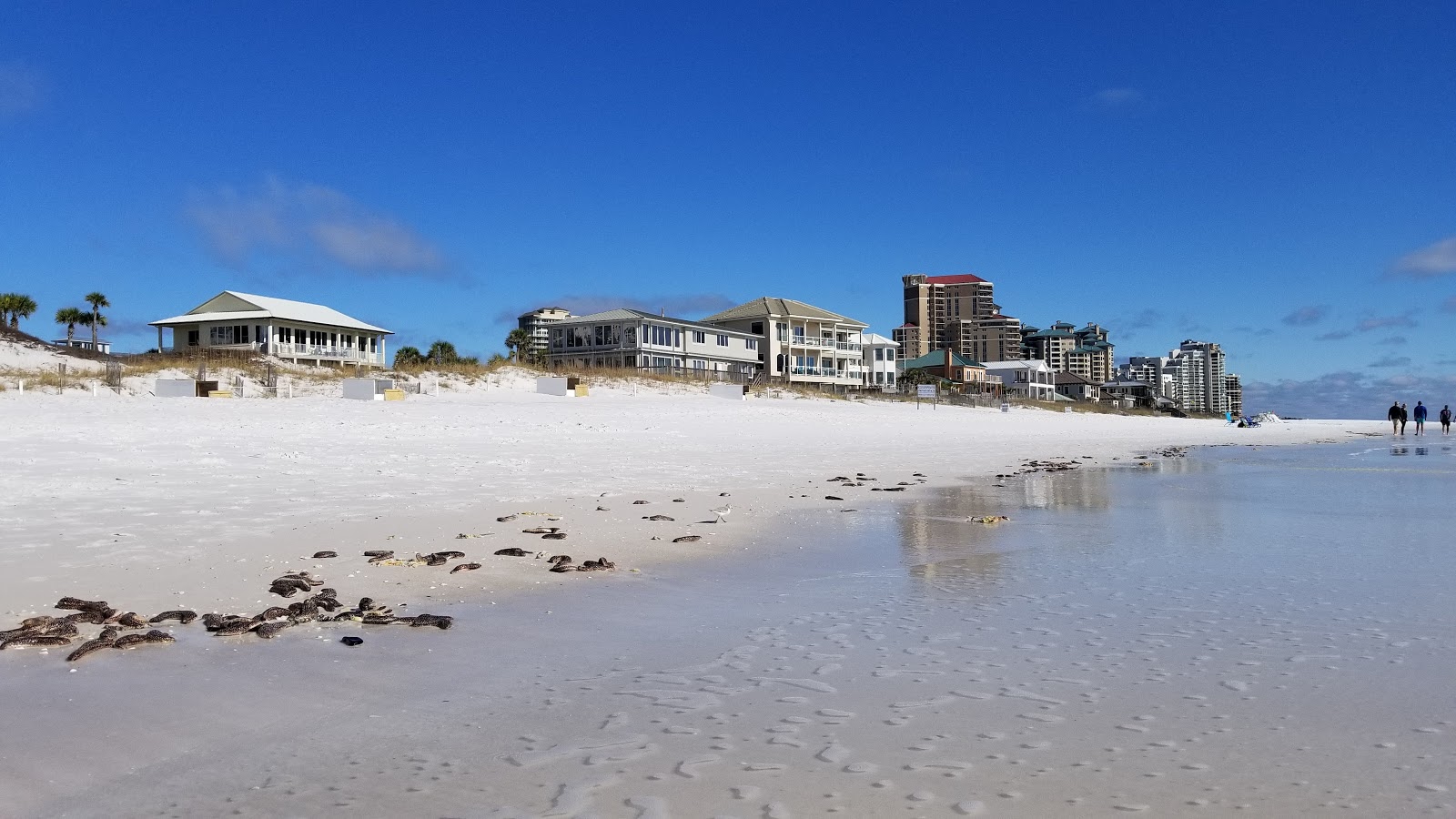 Photo de Plage de Miramar et le règlement