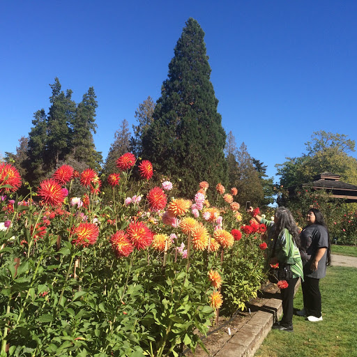 Park «Marine View Park», reviews and photos, 20945 Marine View Dr SW, Normandy Park, WA 98166, USA