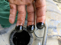 D'Lion Auto Tech - Photo 6 - Car repair in Bayamón, Puerto Rico, Bayamón