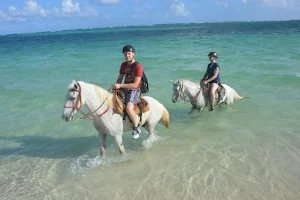 Sale of excursions online. horseback riding on this beach punta cana/ Paseo a caballo en playa de punta cana image