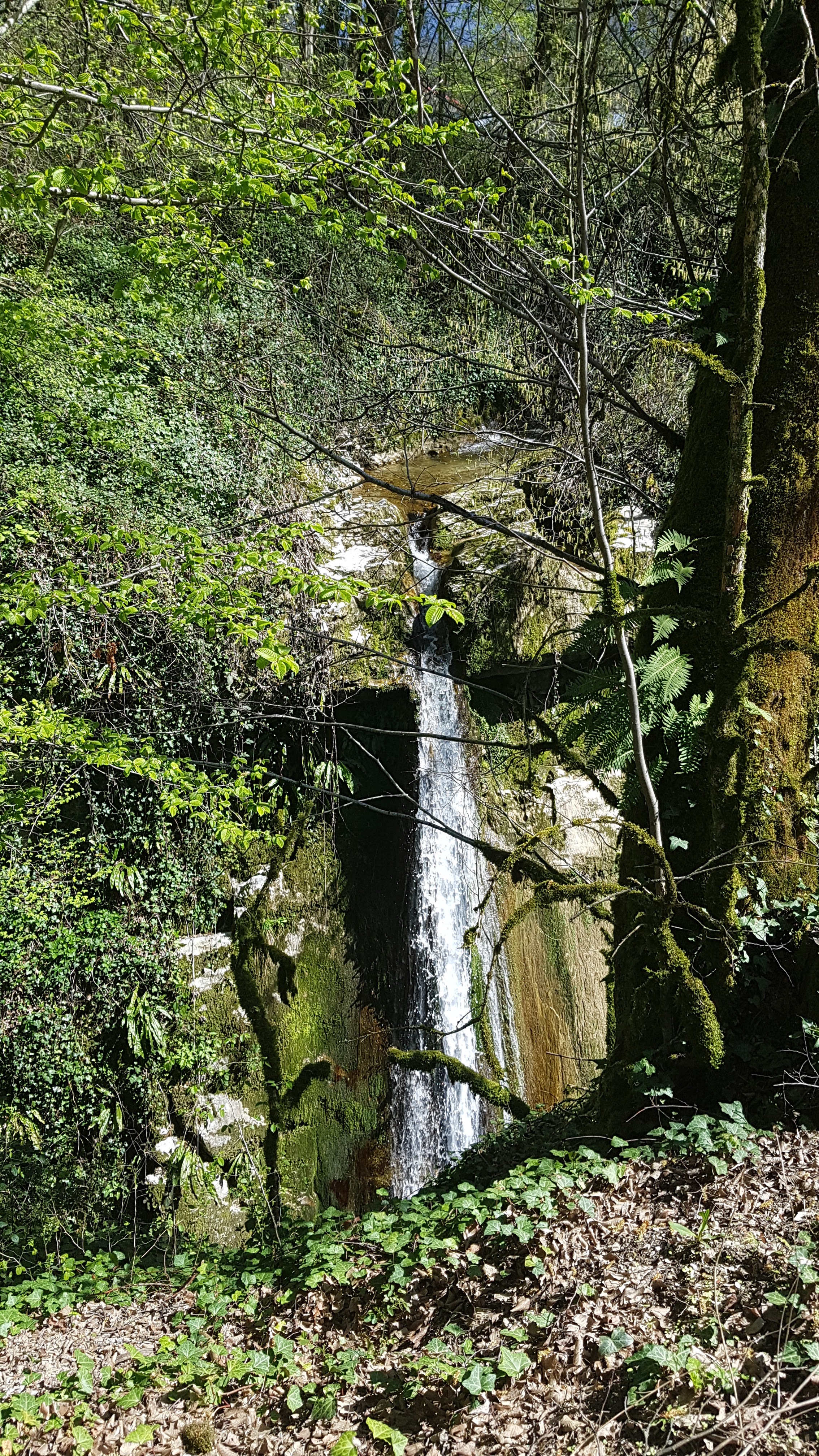 Photo n° 1 de l'avis de Dédée.o fait le 09/04/2023 à 15:12