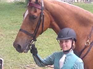 Shelbyville Horse Show - photo 3
