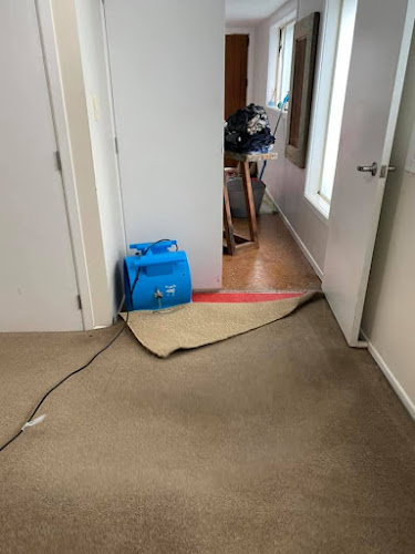 Go Green Carpet Cleaning - Northcote