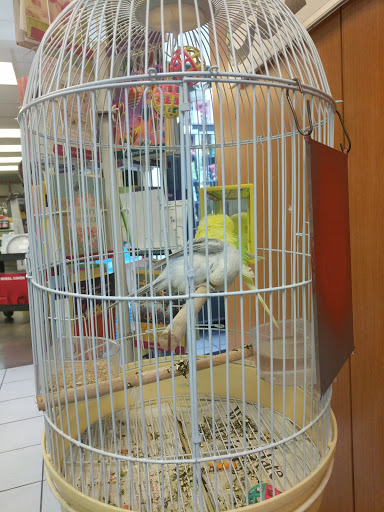 Bob Smith Toyota image