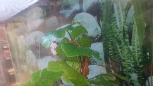 Pet Supply Store «Petco Animal Supplies», reviews and photos, 244 Pioneer Trail, Chaska, MN 55318, USA