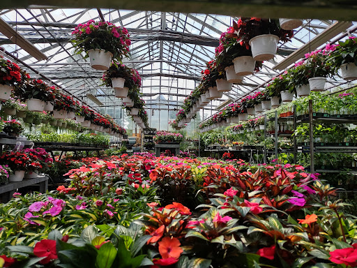 Garden Center «Westminster Nursery & Florist», reviews and photos, 30 Westminster Rd, West Hempstead, NY 11552, USA