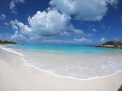 Foto von Forbes Hill beach - beliebter Ort unter Entspannungskennern