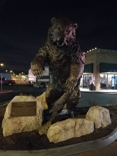 Car Wash «Brown Bear Car Wash», reviews and photos, 3724 Factoria Blvd SE, Bellevue, WA 98006, USA