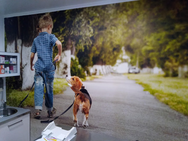 Avaliações doCentro Veterinário de Alvalade em Lisboa - Veterinário