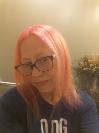 Hair Salon «Salon Lofts Northwood Plaza», reviews and photos, 2522 McMullen Booth Rd Suite C, Clearwater, FL 33761, USA