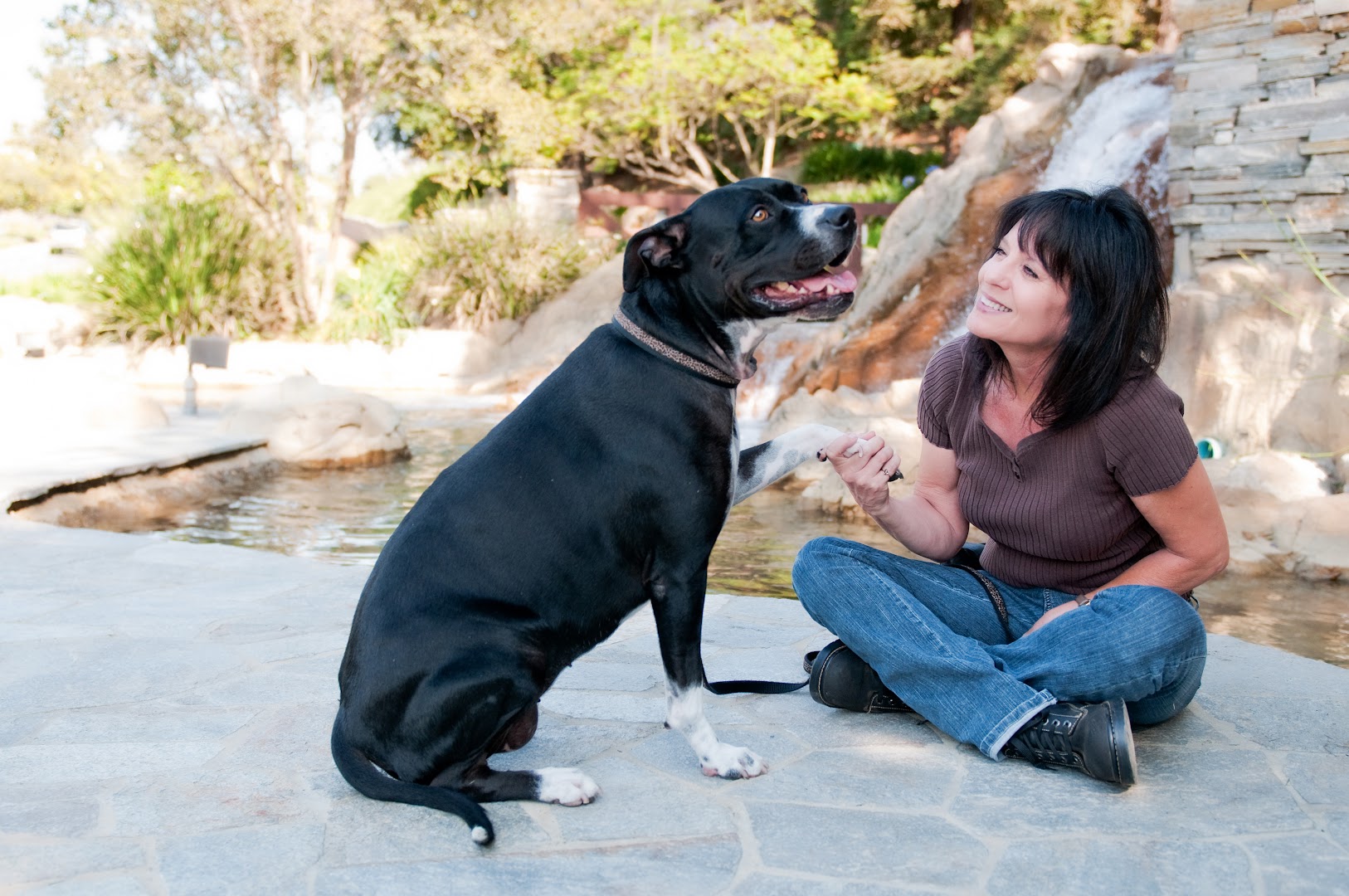 Instant Karma Dog Training