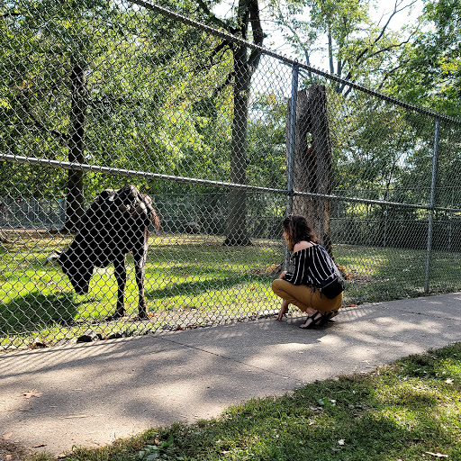Park «Merrill Park», reviews and photos, Fairview Ave, Colonia, NJ 07067, USA