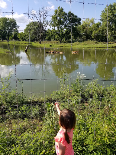 Park «Jester Park», reviews and photos, 11407 Northwest Jester Park Drive, Granger, IA 50109, USA