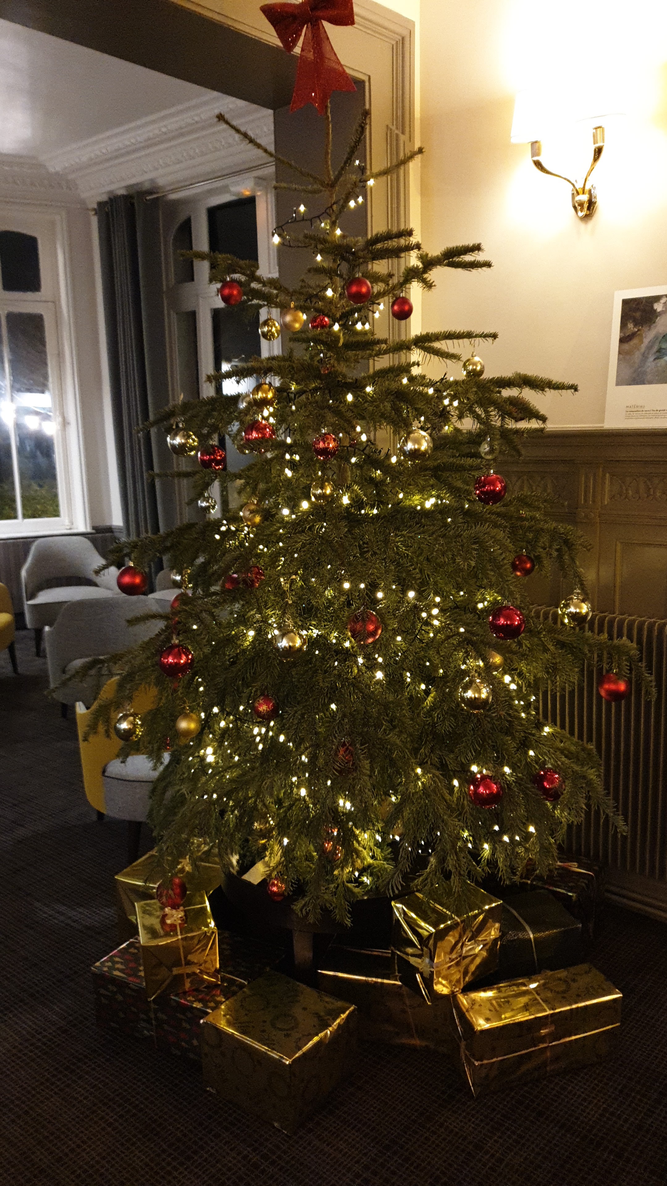 Photo n° 1 de l'avis de BOUYER.A fait le 25/12/2023 à 10:26