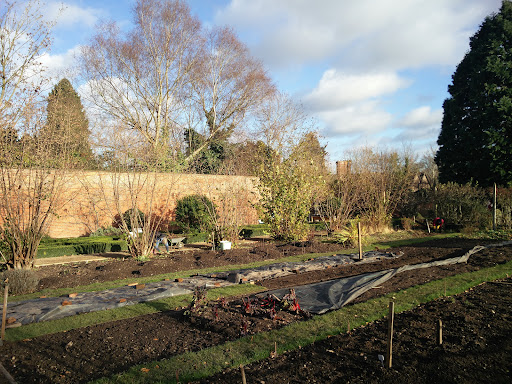 Allesley Park Walled Garden