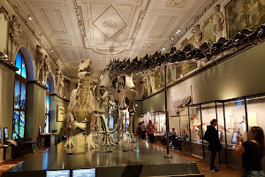 Naturhistorisches Museum Wien