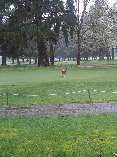 Golf Course «Fort Steilacoom Golf Course», reviews and photos, 8202 87th Ave SW, Lakewood, WA 98499, USA