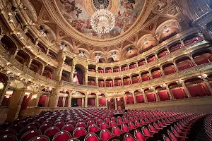 Hungarian State Opera image
