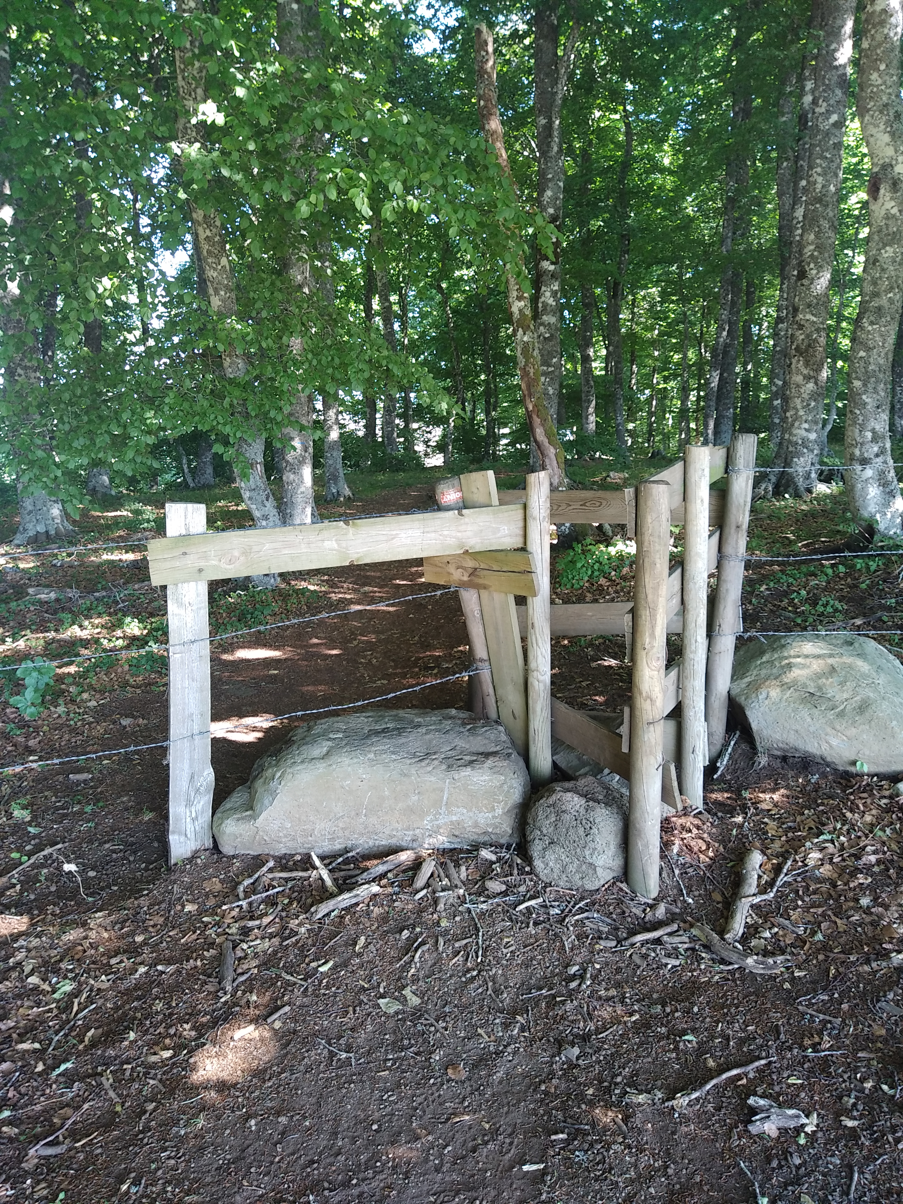 Photo n° 22 de l'avis de Julien.a fait le 14/07/2022 à 19:44