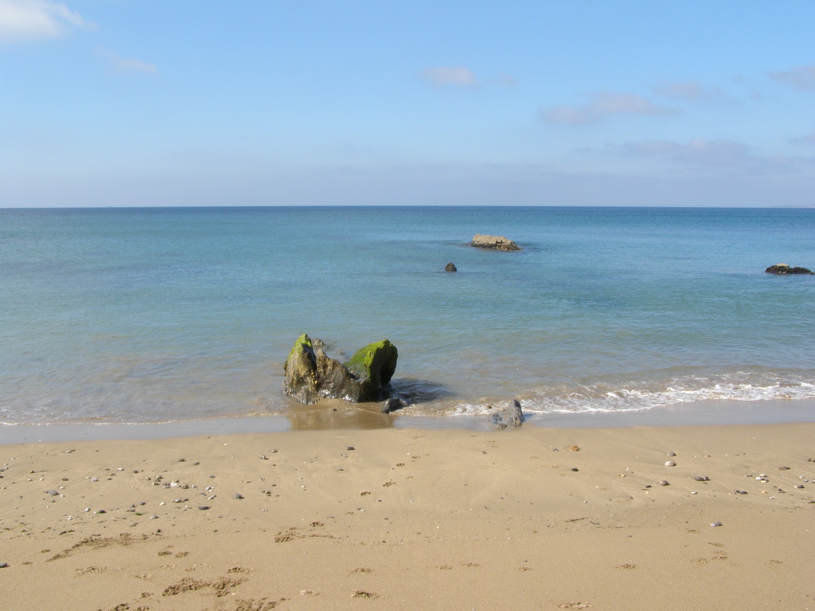 Fotografija Hemmick beach divje območje