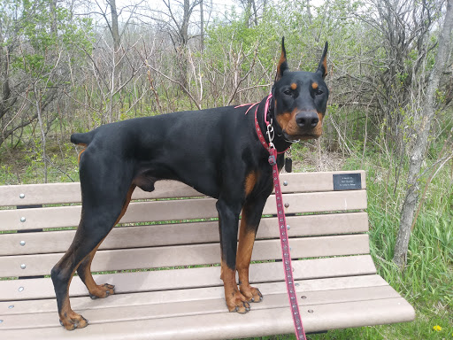 Education «River Bend Nature Center», reviews and photos, 1000 Rustad Road, Faribault, MN 55021, USA