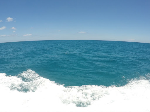 Dive Shop «Dive Shop Kissimmee», reviews and photos, 4916 W Irlo Bronson Memorial Hwy, Kissimmee, FL 34746, USA