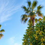 Photo n°5 de l'avis de OI.i fait le 07/11/2021 à 09:27 sur le  Pizzeria The Wall à Massa