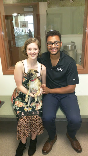 Friends of Upland Animal Shelter image