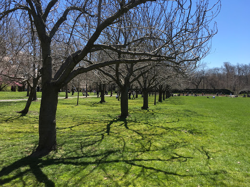 Art Museum «Brooklyn Museum», reviews and photos, 200 Eastern Pkwy, Brooklyn, NY 11238, USA