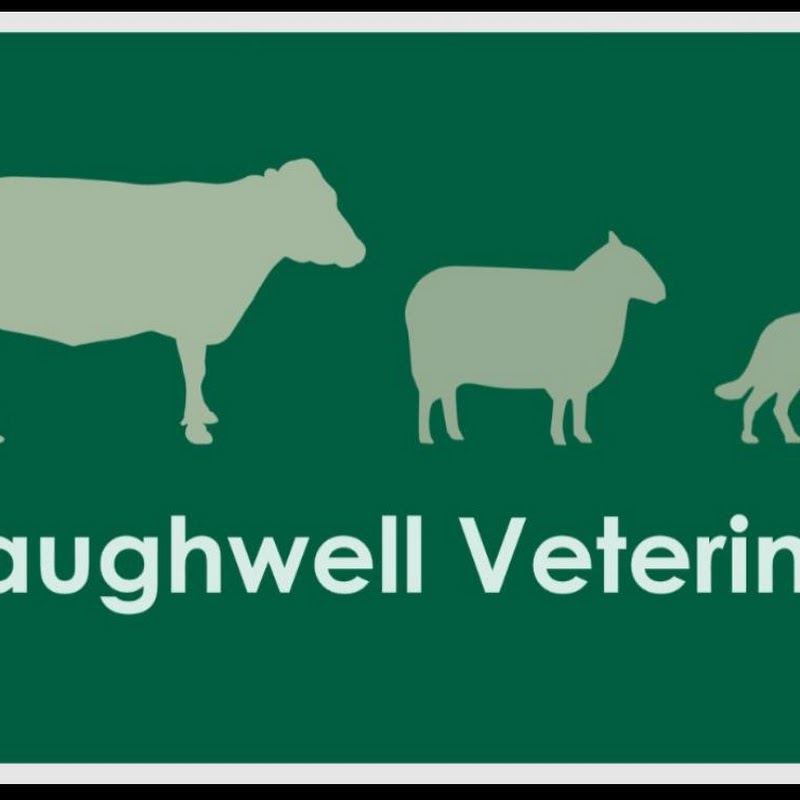 Craughwell Veterinary
